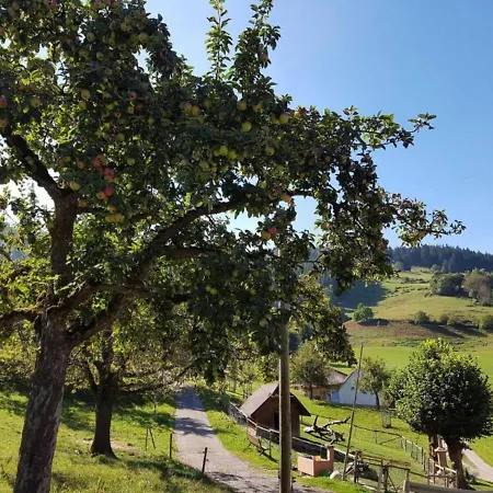 Daire Maierhof Oberried (Breisgau)