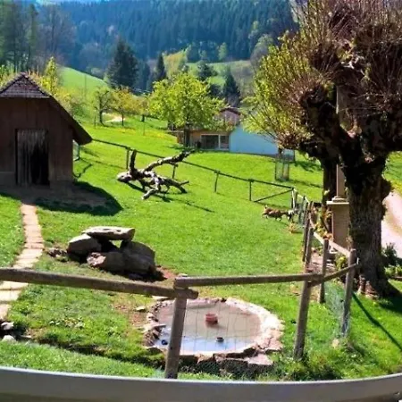 Daire Maierhof Oberried (Breisgau)