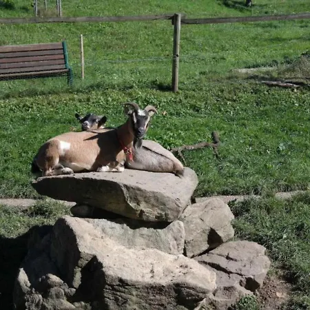 Maierhof Daire Oberried (Breisgau)