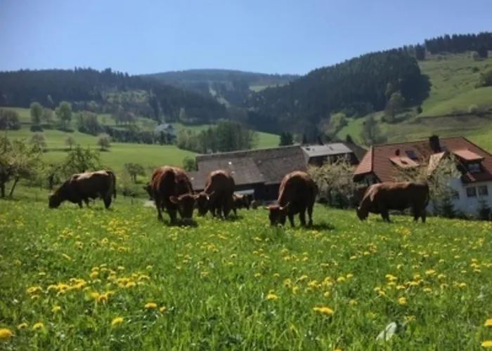 Maierhof Apartamento